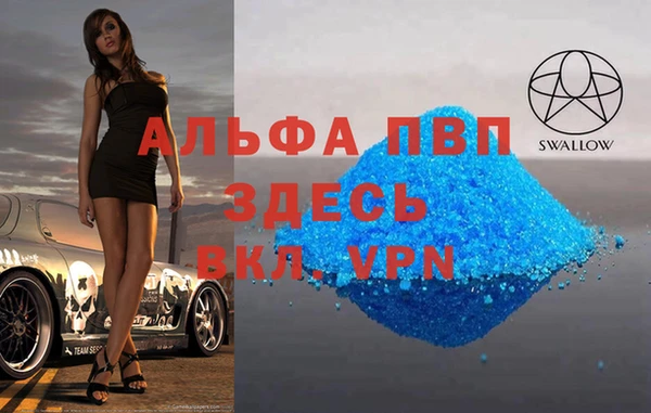 ECSTASY Бородино