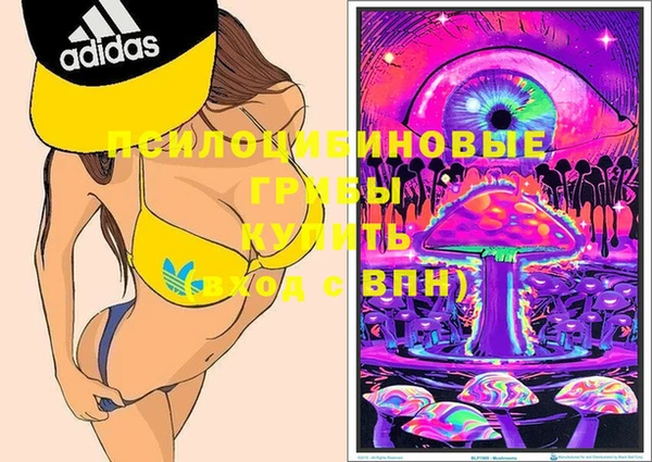бошки Верея