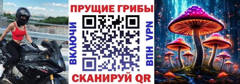 Псилоцибиновые грибы GOLDEN TEACHER  купить наркотики сайты  Копейск 